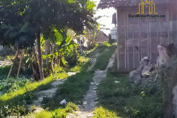 BU CEPAT tanah kebun dekat SMU cisarua bandung barat