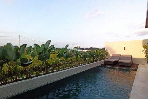 VILLA VIEW SAWAH MURAH DI CANGGU DEKAT FINNS CLUB