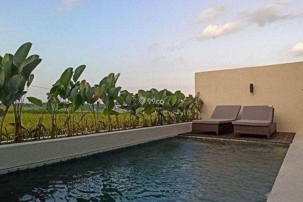 VILLA VIEW SAWAH MURAH DI CANGGU DEKAT FINNS CLUB