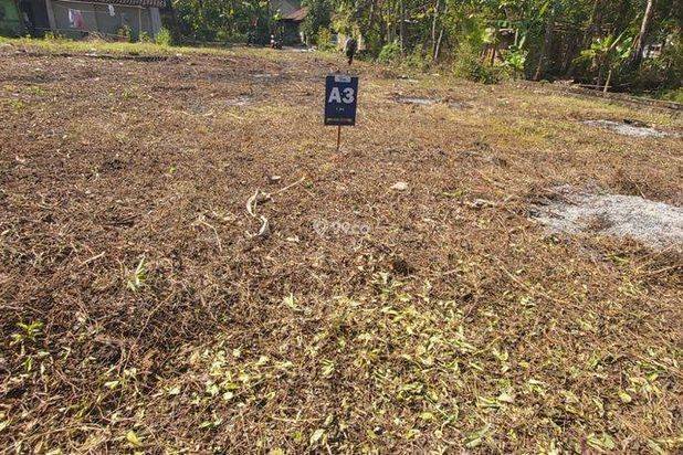 Tanah 1 Jutaan Dekat Pemda Wates Siap Bangun 