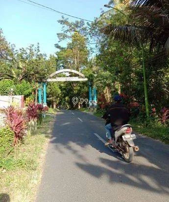Tanah Kavling di Kalipuro, Warungkopat, Sebelum Desa Gombengsari