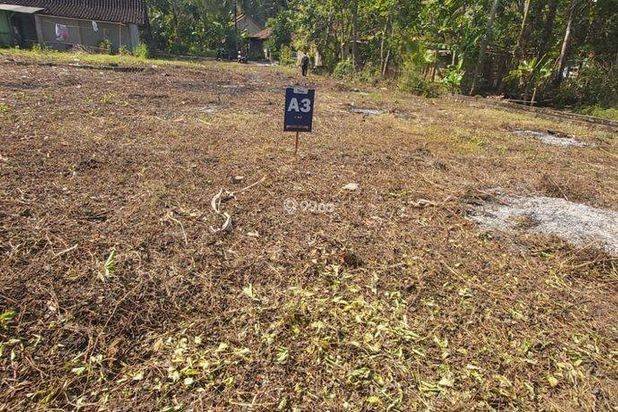 Tanah Murah Wates Dekat Pemda SHM Siap Ajb Pinggir Jalan
