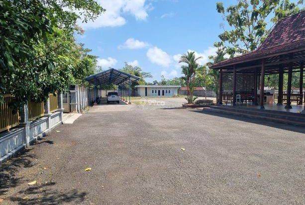  Rumah Mewah Bak Istana Dengan Tanah Terluas Tepi Jalan Purworejo