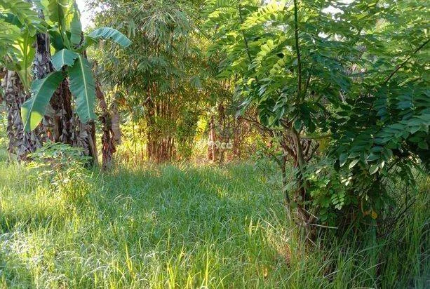 Tanah Kavling di Kalipuro, Warungkopat, Sebelum Desa Gombengsari