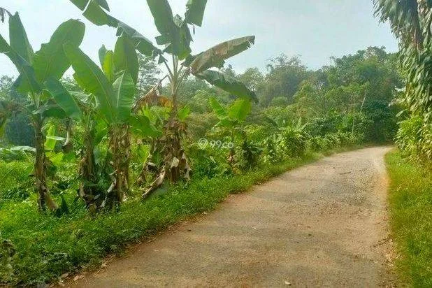 Jual Murah Tanah Kebun Pinggir Jalan Perkampungan di Purwakarta