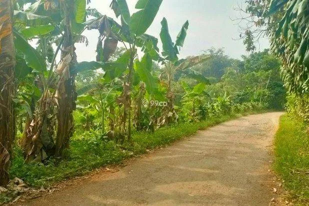Jual Murah Tanah Kebun Pinggir Jalan Perkampungan di Purwakarta