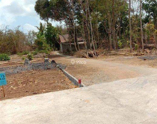 Tanah 1 Jutaan Wates Cocok Untuk Investasi 