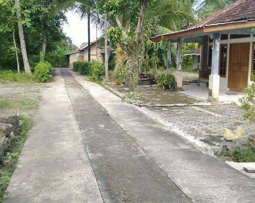 Tanah 1 Jutaan Wates Cocok Untuk Investasi 