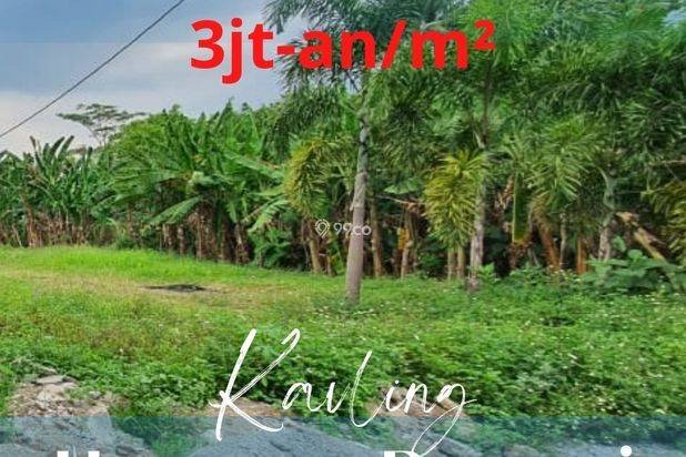 Tanah Kavling Ungaran 4 Menit Kampus Undaris, SHM