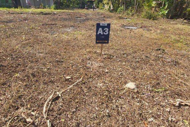 Tanah Murah Wates Dekat Pemda SHM Siap Ajb Pinggir Jalan