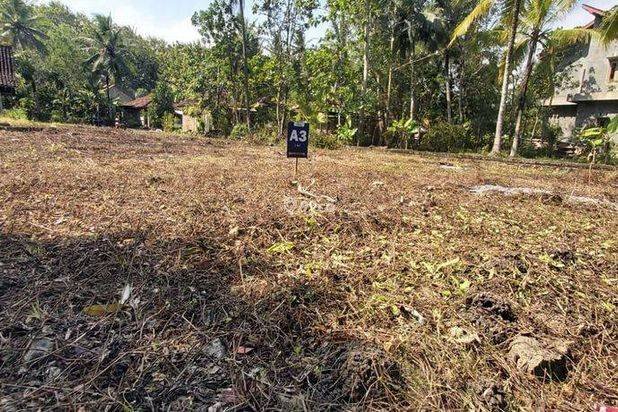 Tanah Murah Jogja Dekat Bandara Yia SHM Ready 