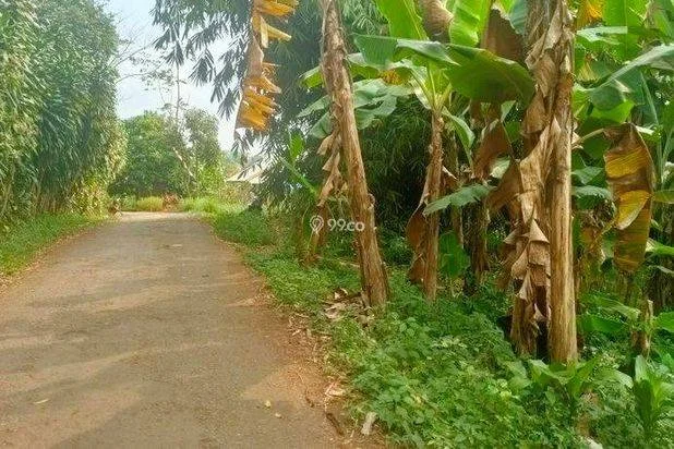 Jual Murah Tanah Kebun Pinggir Jalan Perkampungan di Purwakarta