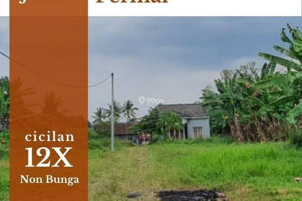 Tanah Murah Ungaran 4 Menit Kampus Undaris, SHM