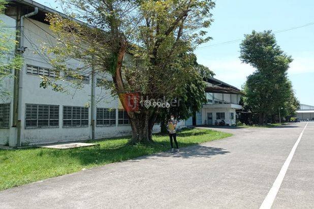 Sewa Gudang Cocok Usaha &Industri Jl Raya Semarang-Kendal-7248