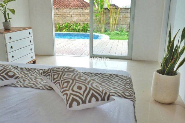 Beautiful Villa High Investment Value