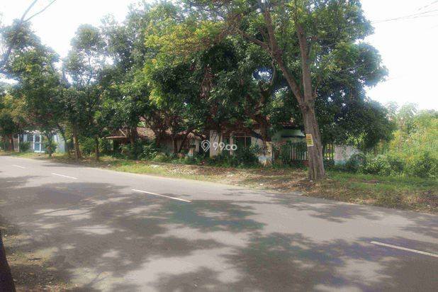 Tanah Pekarangan Pinggir Jalan Strategis