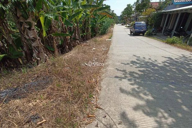 Sing Penting Duwe Tanah, Dekat SMK Ihsaniah Kajen: 60 Jt-an