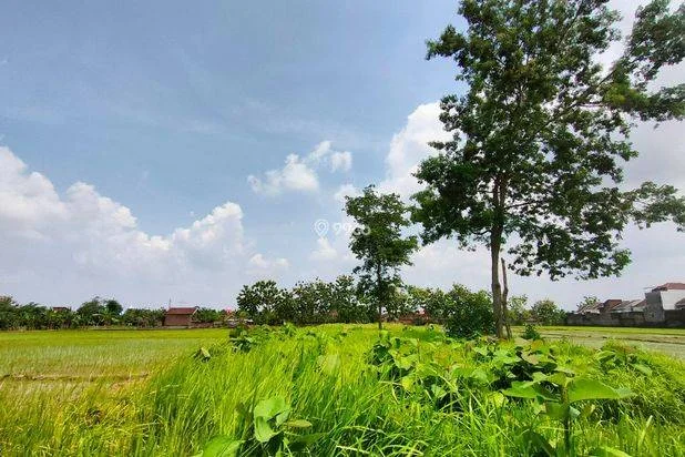 Kavling Murah Madiun 2 menit Kantor Desa Jiwan Luas mulai 90 m