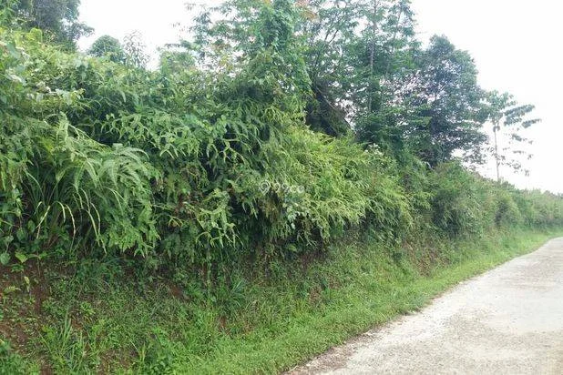1Ha.SPPT/GIRIK Tanah di Kec Cigudeg Bogor