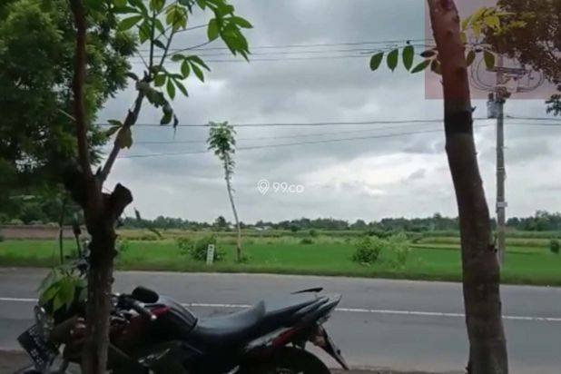???? *_LAHAN INDUSTRI 6 HA GRINGGING KEDIRI*  ????