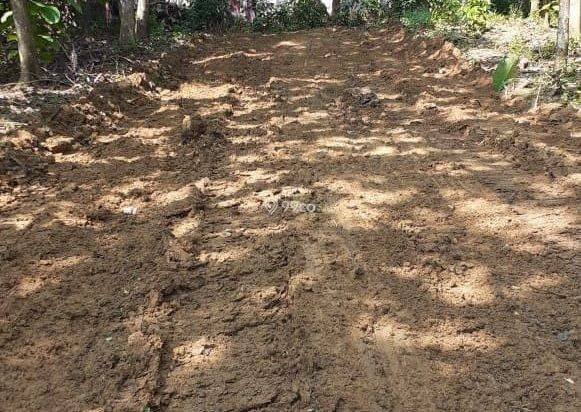 Kavling Murah Pinggir Jalan Bonus Pohon Jati Emas,Kavling Jati