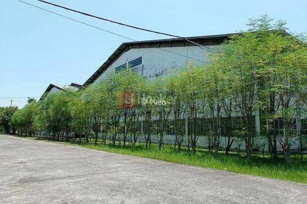 Sewa Gudang Cocok Usaha &Industri Jl Raya Semarang-Kendal-7248