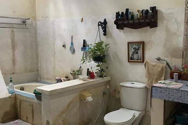Perumahan Asri dijalan Mertanadi Kerobokan