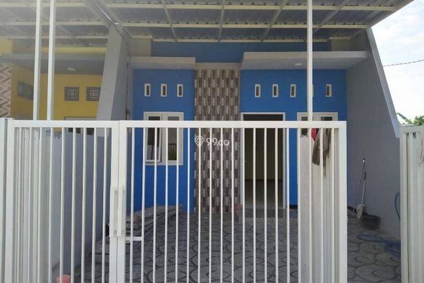 Rumah Baru Wage Aloha