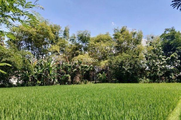 Tanah Madiun 3 menit Kantor Kecamatan Wungu 1 juta-an