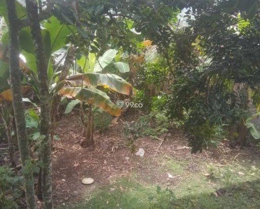 Dijual tanah di Kalipancur, Semarang Kota Harga Murah