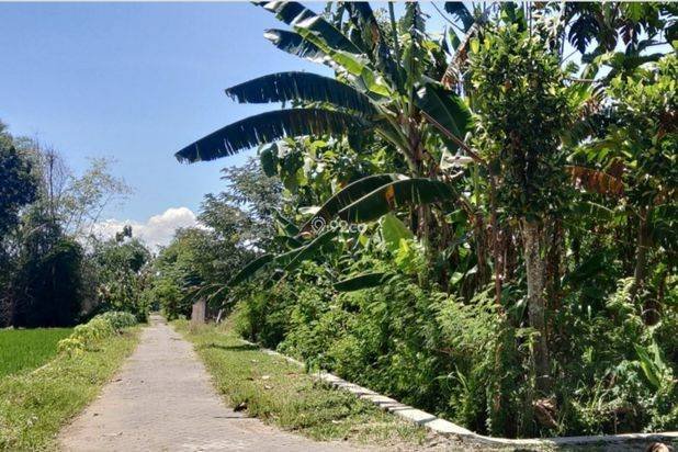Tanah Madiun 3 menit Kantor Kecamatan Wungu 1 juta-an