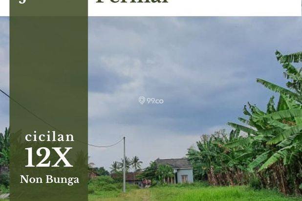 Tanah Murah Ungaran 4 Menit Kampus Undaris, SHM