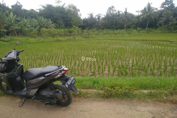 1800m2.SPPT/GIRIK Tanah di Kec Jasinga Bogor Barat