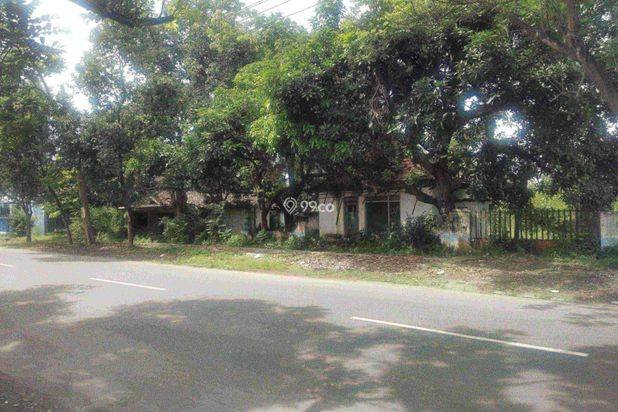 Tanah Pekarangan Pinggir Jalan Strategis