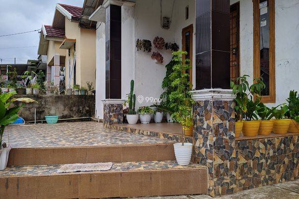 Rumah Murah Jual Cepat 170 Jt Daerah Pagar Drum 16 Kota Jambi