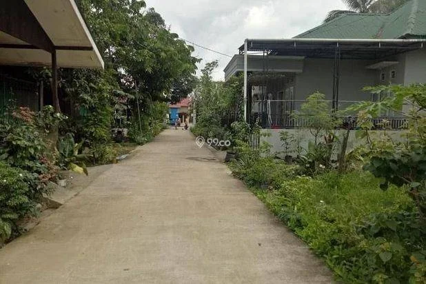 TANAH sertifikat Gunung lingai