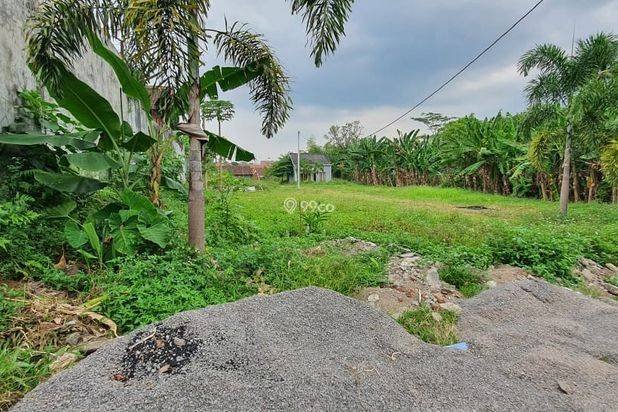 Tanah Kavling Ungaran 4 Menit Kampus Undaris, SHM Free Balik N
