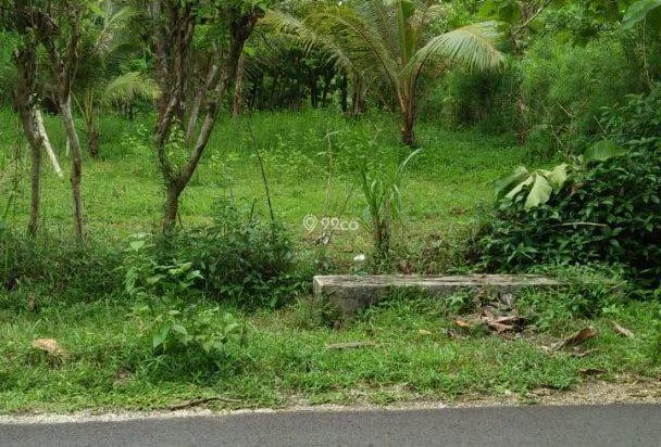Tanah 300m menuju Obyek Wisata Karang Tirta Rp 125jt Total