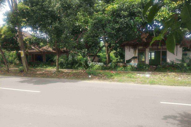 Tanah Pekarangan Pinggir Jalan Strategis