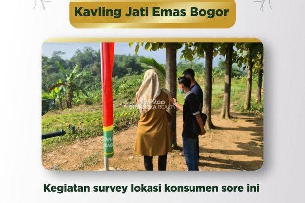 Tanah Murah Kavling Jati Indah Transyogi Bisa Bonus Pohon Jati
