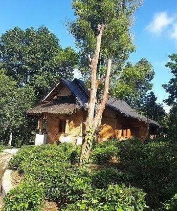 Jual Murah Rumah/Villa Kebun Asri dan  hawa Sejuk
