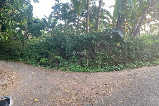 dijual tanah buat cocok buat kandang sapi