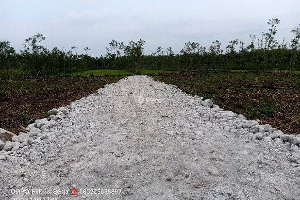 TANAH DI KRAGAN REMBANG