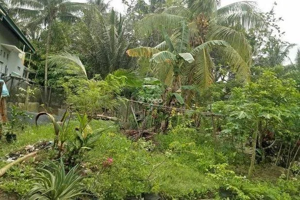 TANAH sertifikat Gunung lingai