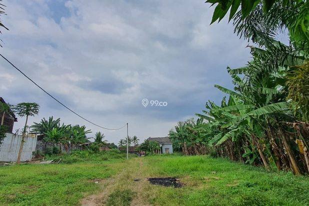 Tanah Murah Ungaran 4 Menit Kampus Undaris, SHM