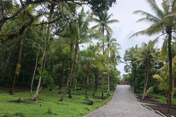 Dijual Tanah Villa Murah