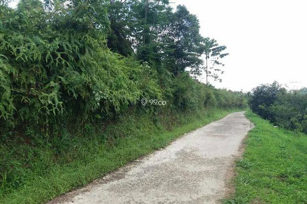 1Ha.SPPT/GIRIK Tanah di Kec Cigudeg Bogor