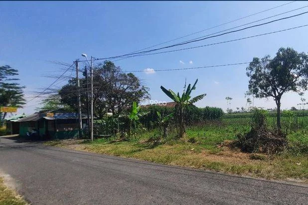 Kapling Tegalandong Lebaksiu Tegal: SHM Pekarangan