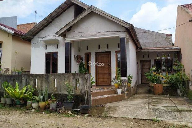 Rumah Murah Jual Cepat 170 Jt Daerah Pagar Drum 16 Kota Jambi