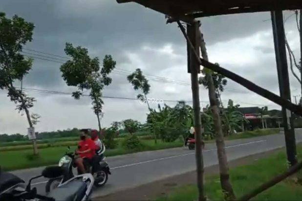 ???? *_LAHAN INDUSTRI 6 HA GRINGGING KEDIRI*  ????